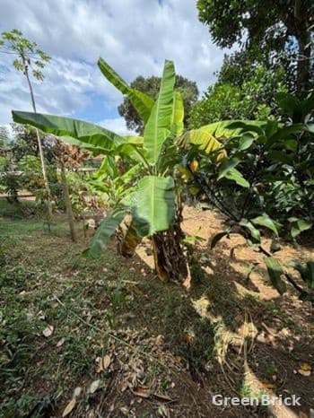 Land in Kandy - Kengalla