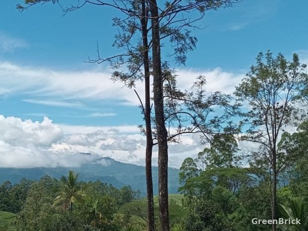 Land in Kandy - Nuwaraeliya road