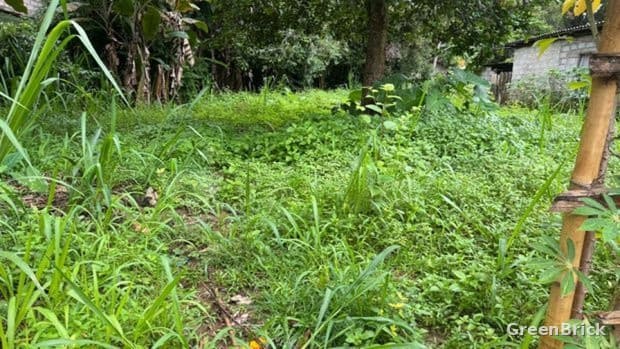 Land in Kandy - Weegulawatta Road
