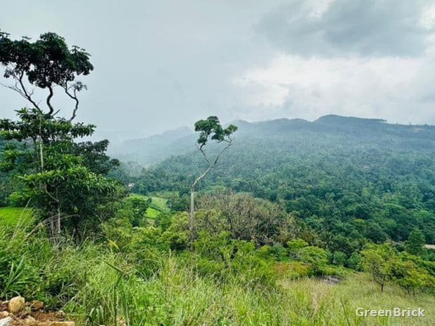 Land in Kandy - Nillamba