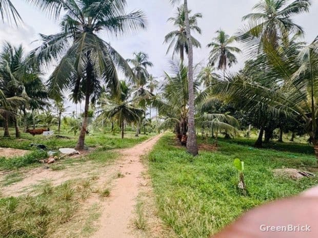 House in Puttalam - Puttalam City, Puttalam