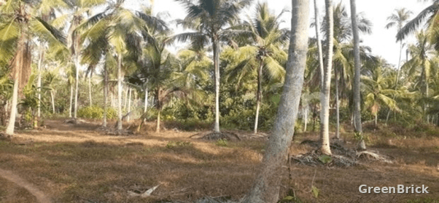 Land in Kurunegala - Doratiyawa, Kurunegala
