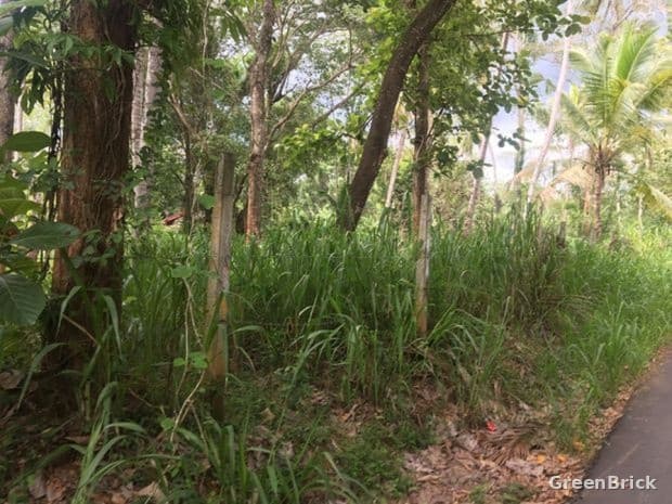 Land in Monaragala - Bibile, Monaragala