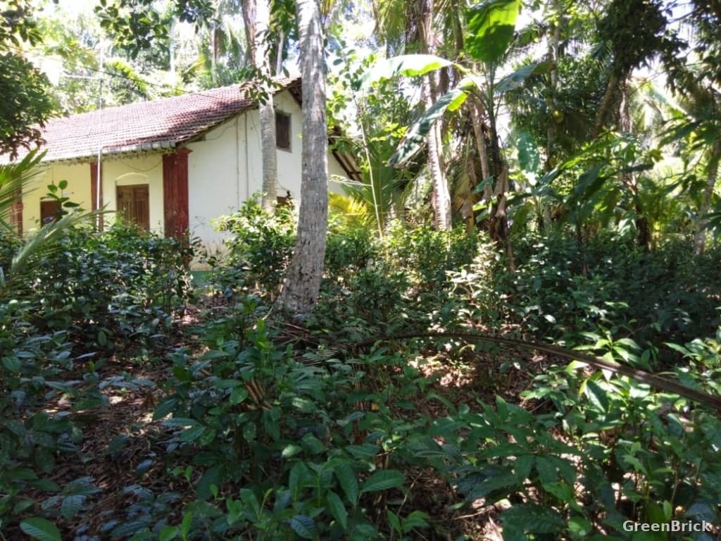 House in Galle - Galle