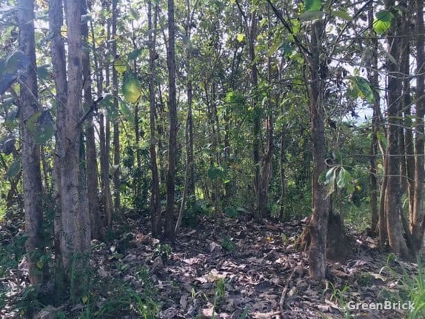 Land in Monaragala - Monaragala City, Monaragala