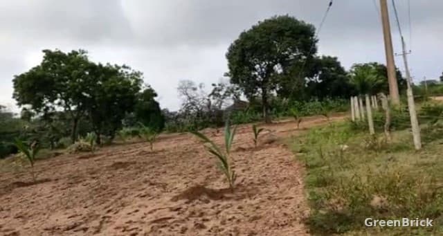 Land in Trincomalee - Trincomalee City, Trincomalee