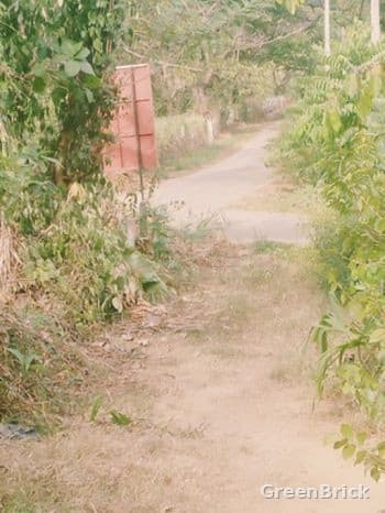 Land in Monaragala - Abhaya Road ,Welewatte, Monaragala