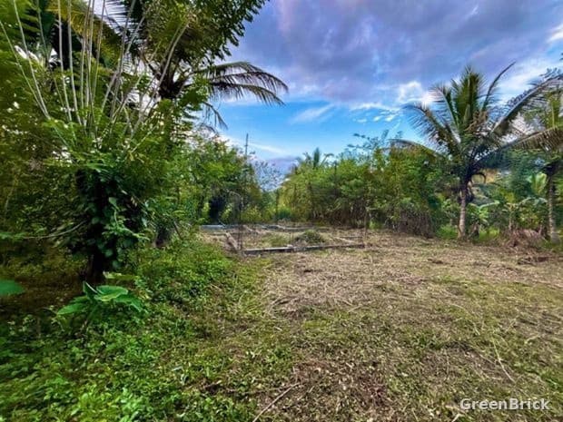 Land in Monaragala - Mahanama primary school road, Monaragala