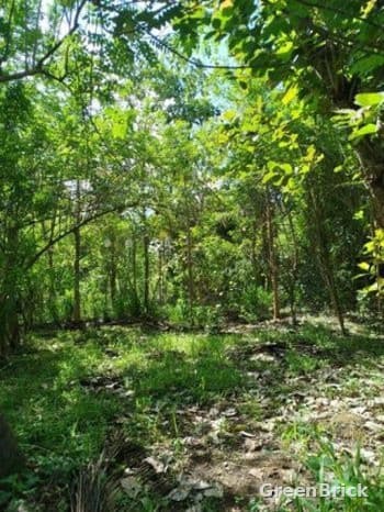 Land in Monaragala - Mayuragiri Road,Monaragala