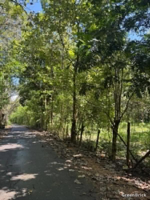Land in Monaragala - Galwala Road, Kumbukkana, Monaragala
