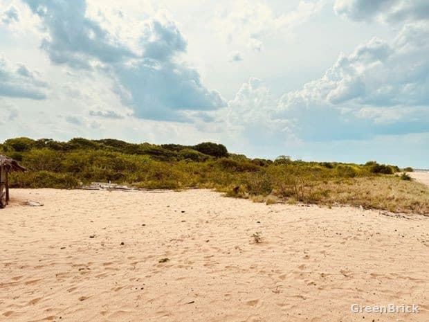 Land in Trincomalee - Kuchchaveli, Trincomalee