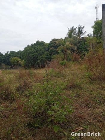 Land in Trincomalee - Andamkulama, Trincomalee