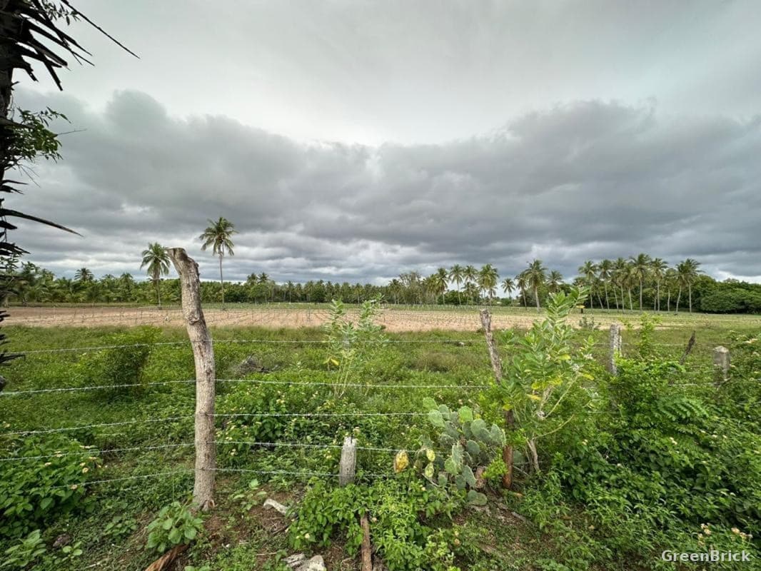 Land in Trincomalee - Irakkakandy Village, near Pigeon Island, Nilaveli