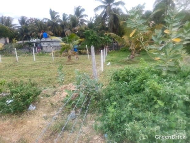 Land in Trincomalee - Sakayamatha Road, Anbuvalipuram, Trincomalee