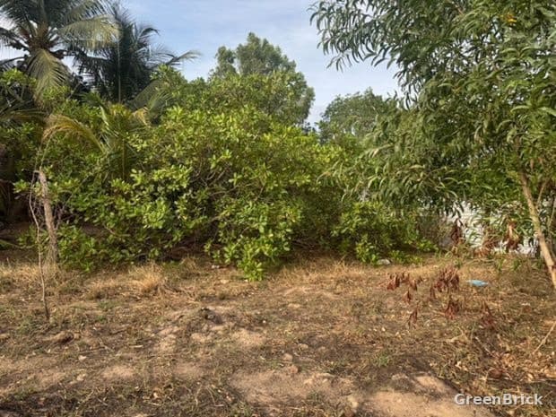 Land in Batticaloa - Qathi Court Road, Mancholai, Batticaloa