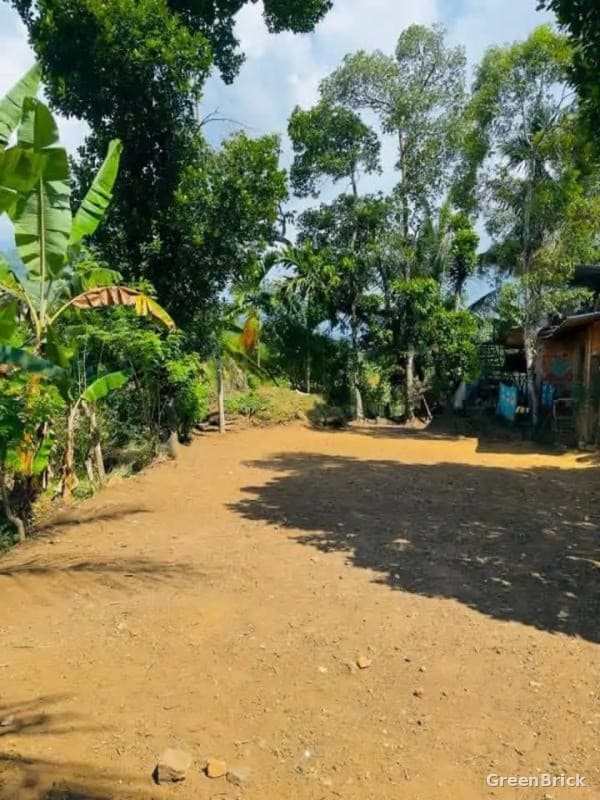Land in Badulla - Hidagoda, Badulla