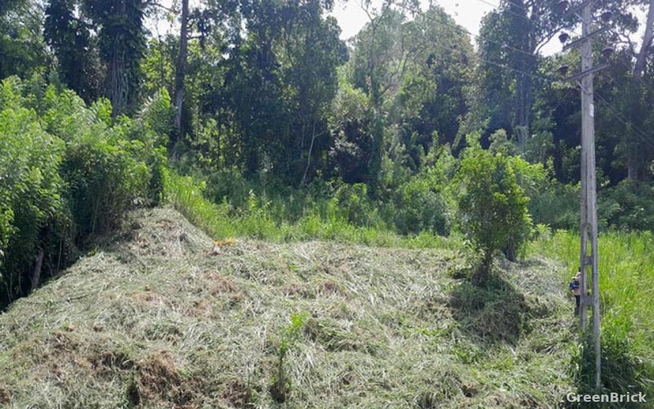 Land in Badulla - Halpe, Belihuloya