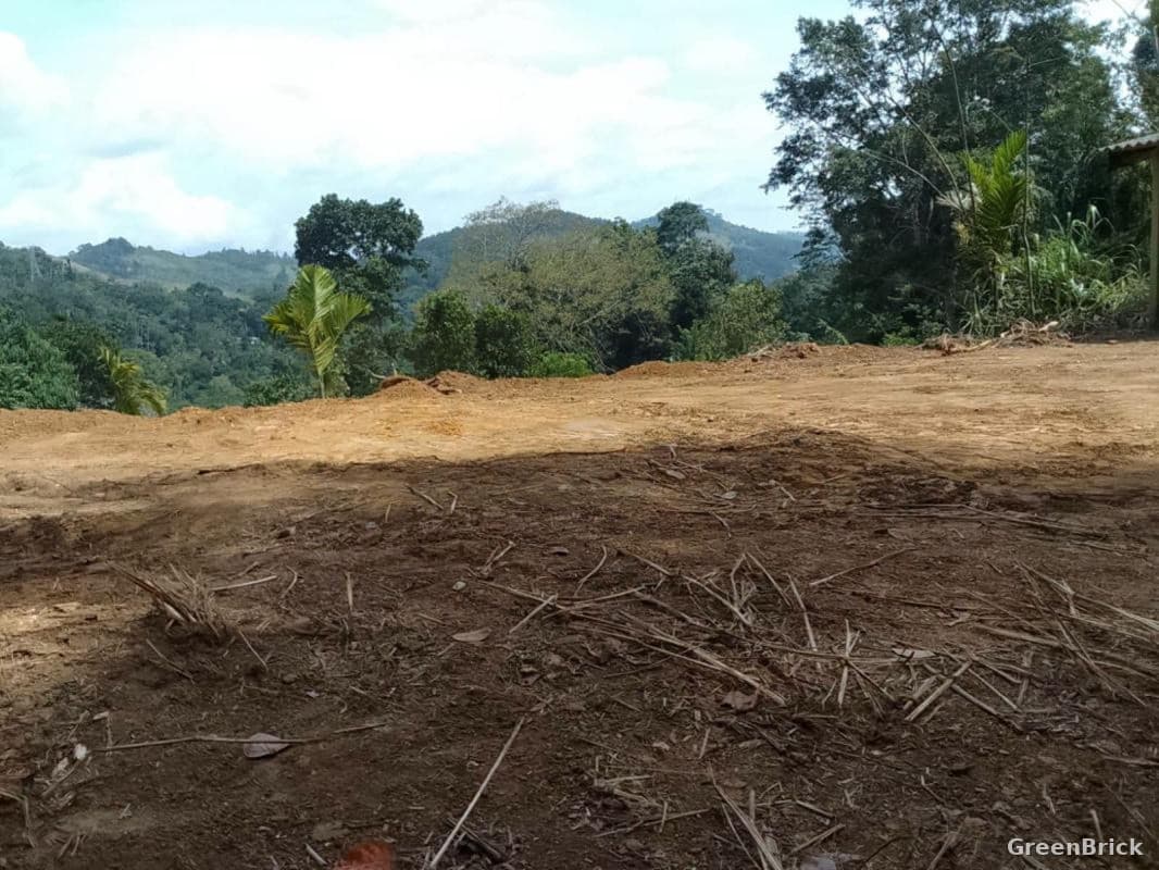 Land in Badulla - Kottagahaarawa – Ebulgoda, Badulla