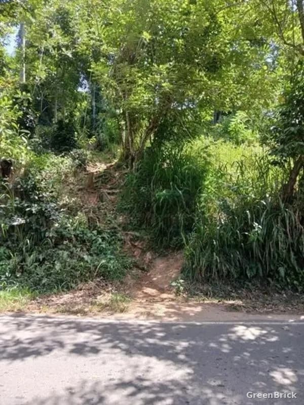 Land in Badulla - Damanwara,Badulla