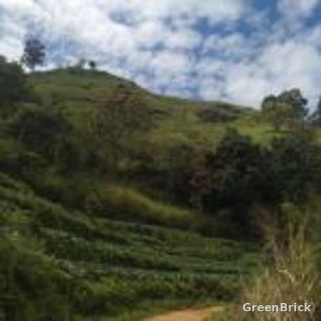 Land in Badulla - Idalgashinna, Badulla