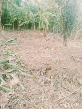 Land in Monaragala - Monaragala City, Monaragala