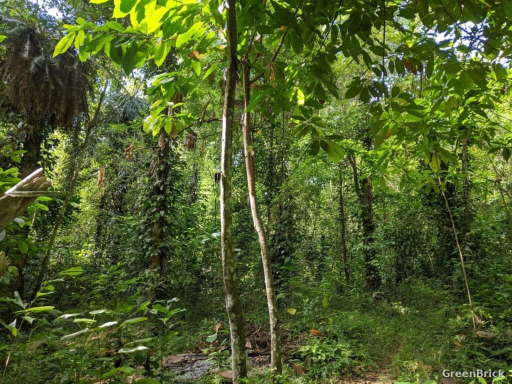 Land in Monaragala - Monaragala City, Monaragala