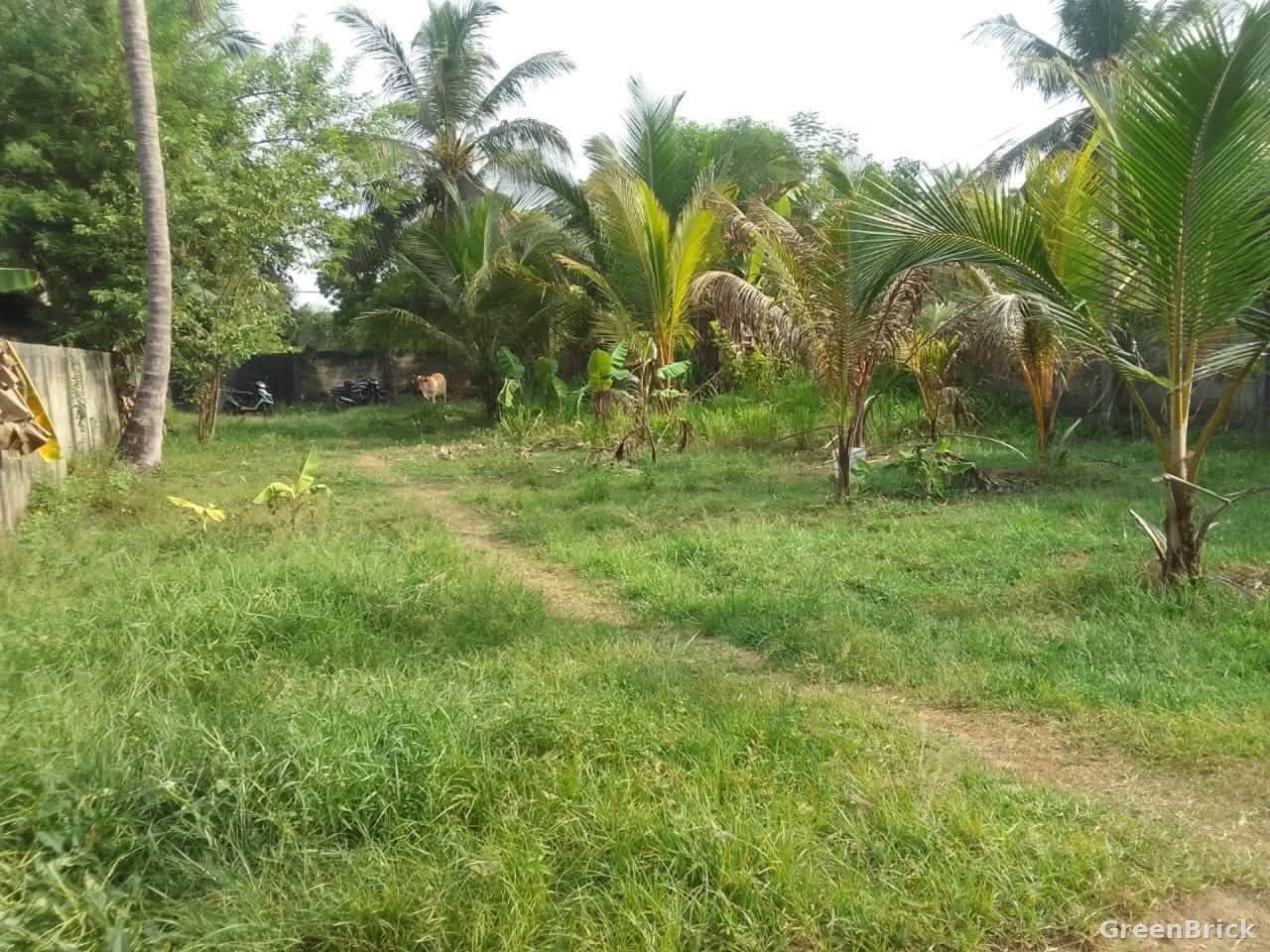 Land in Ampara - Industrial Area, Ampara