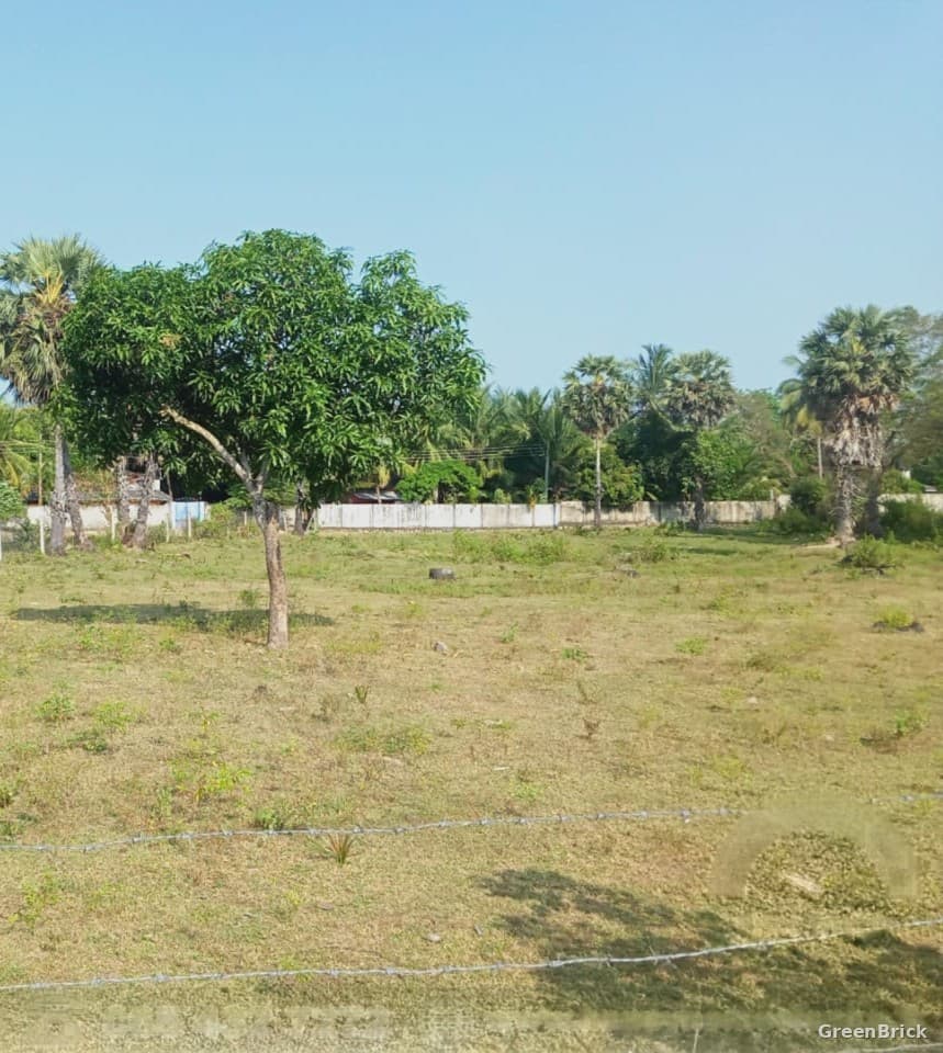 Land in Ampara - 7th Village, Navithanveli, Ampara