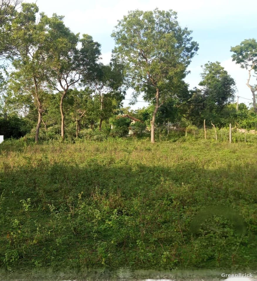 Land in Ampara - Valathapitty, Ampara