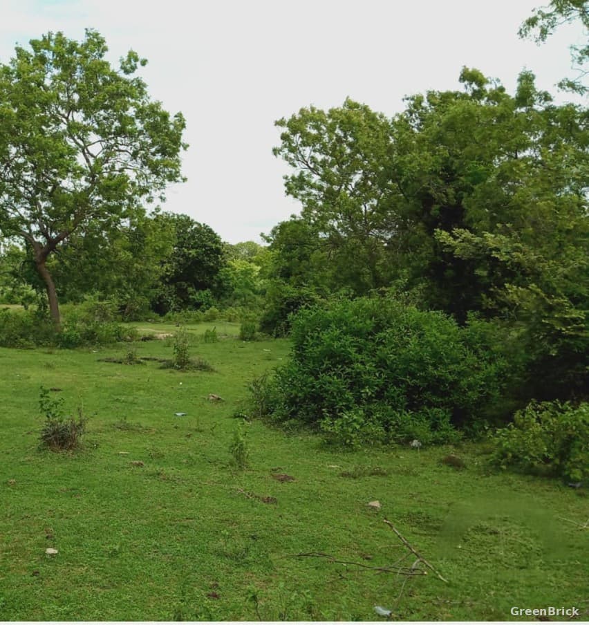Land in Ampara - Valathapitty, Ampara