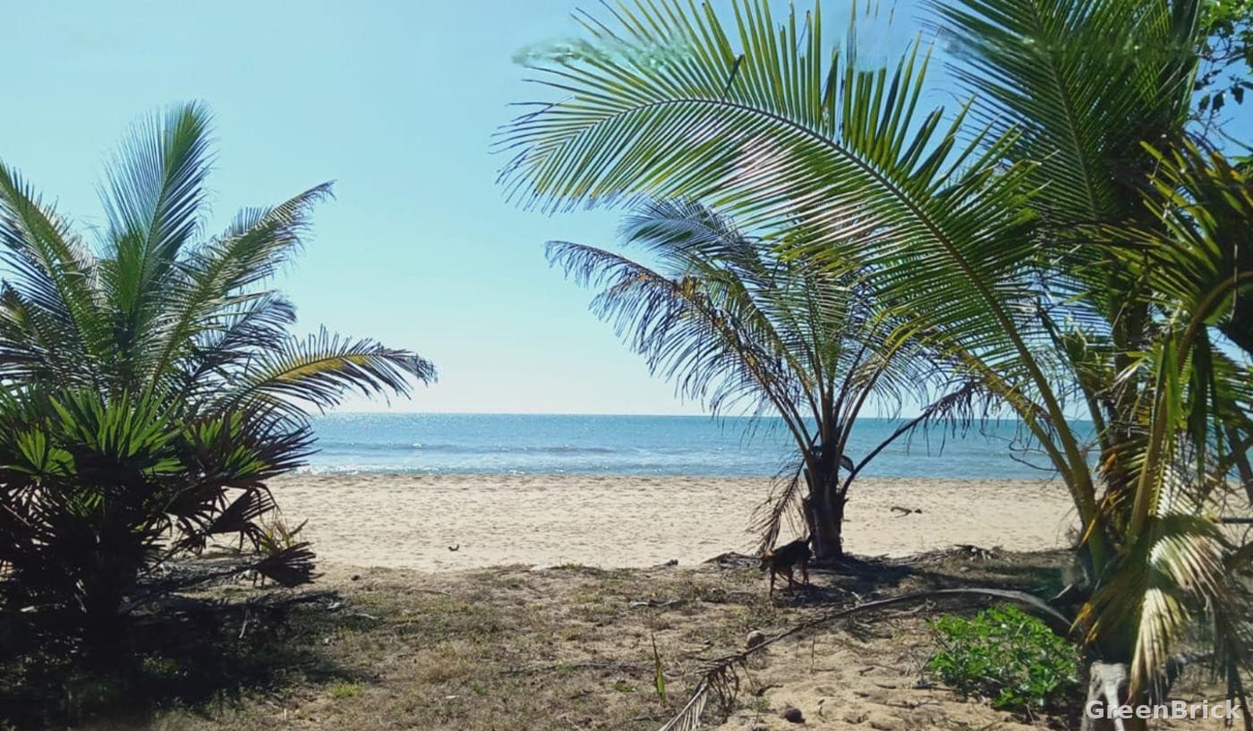 Land in Ampara - Addapallam, Nintavur, Ampara