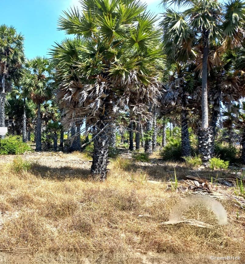 Land in Batticaloa - Chathurukondan, Batticaloa