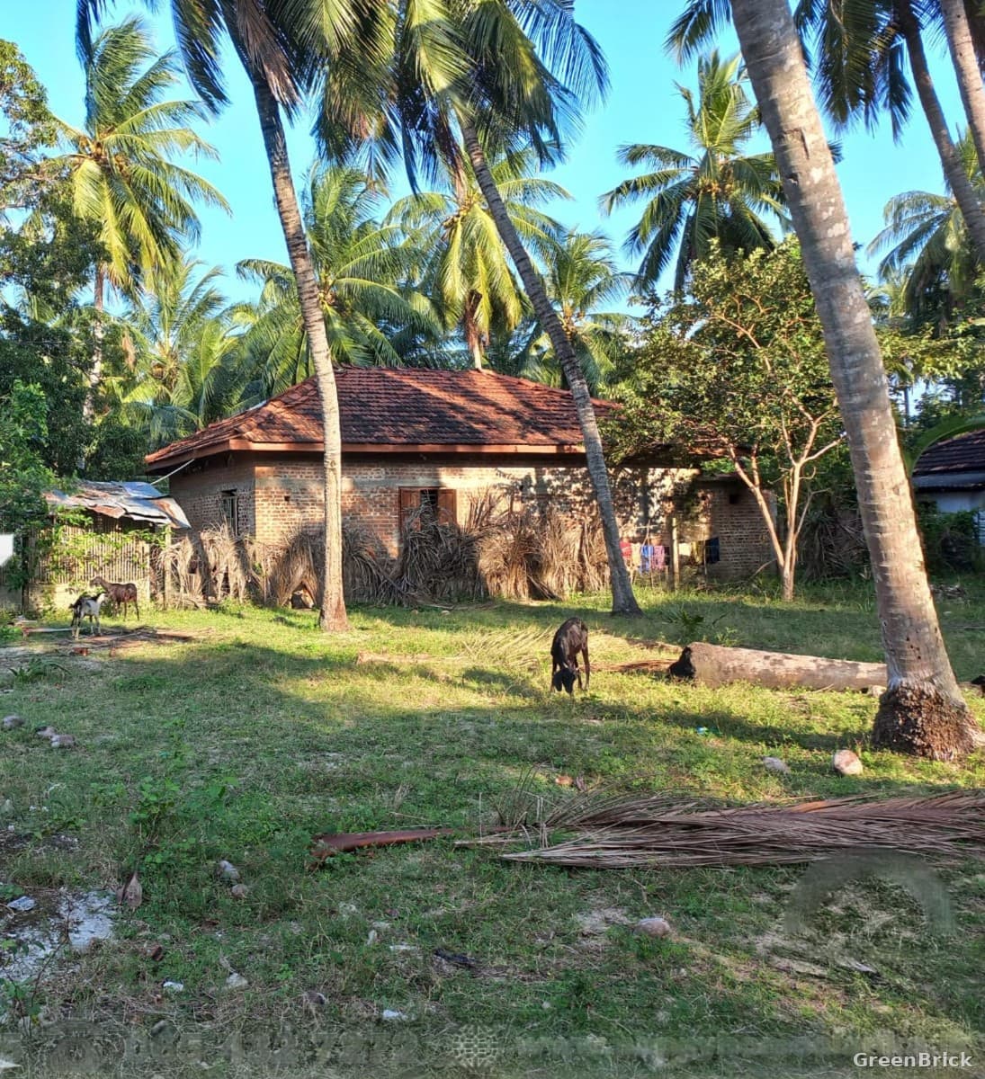 Land in Batticaloa - Chathurukondan, Batticaloa