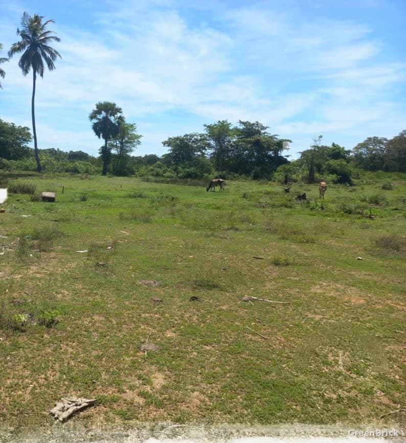Land in Batticaloa - Chathurukondan, Batticaloa