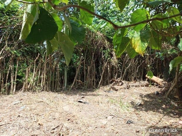 Land in Matara - Walgama, Matara