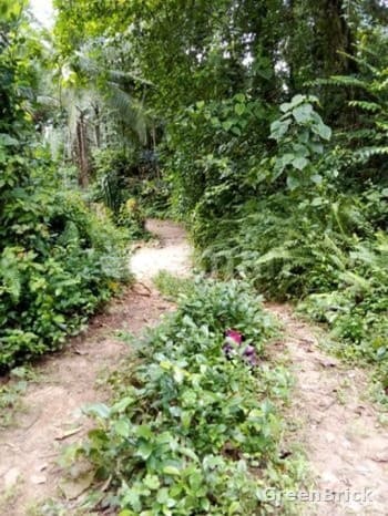 Land in Kegalle - Kegalle District, Ganepalla. Weeragalla