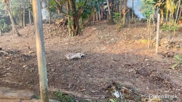 Land in Kegalle - අමිතිරිගල තැපැල් කාර්යාලය අසල ප්‍රදාන පාරට මුහුණ ලා