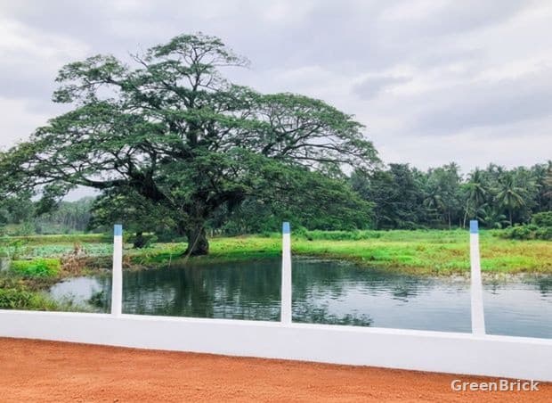 Land in Puttalam - MELSIRIPURA