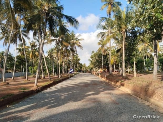 Land in Puttalam - Dankotuwa - Matikotuwa road Facing