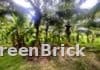 Land in Puttalam - Agricultural, Commercial, Residential, Other