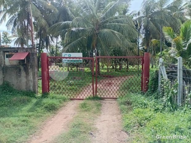 Land in Puttalam - chilaw