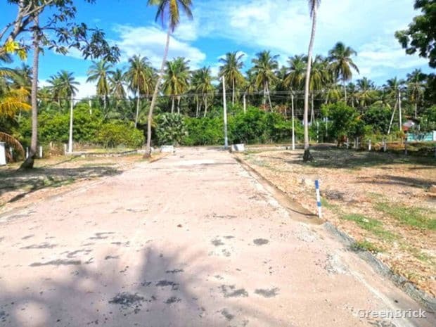 Land in Puttalam - Thalawila road