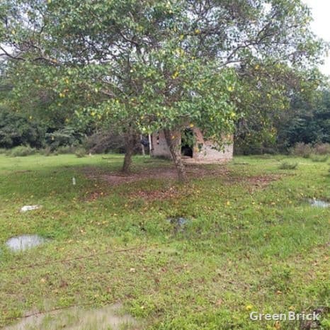 Land in Puttalam - Eluwankulam, Puttalam