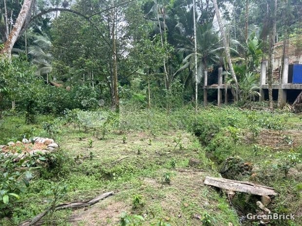 Land in Ratnapura - Kalawana