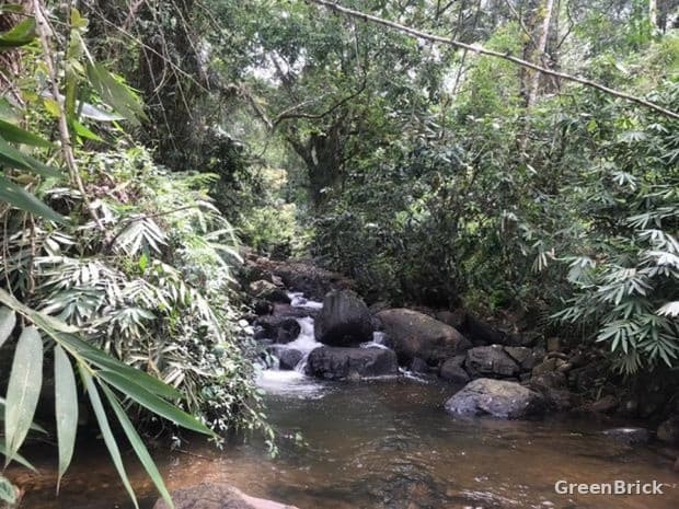Land in Ratnapura - Kalawana, Sri Lanka