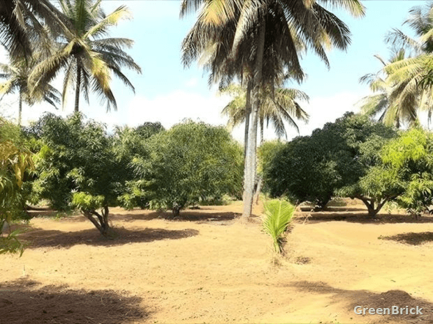 Land in Kurunegala - Kanogama, Katupotha, Kurunegala