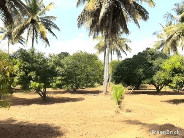 Land in Kurunegala - Pothuhera, Kurunegala