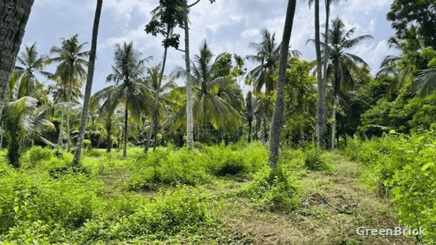 Land in Kurunegala - Ilukhena, Kurunegala