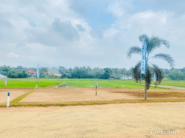 Land in Kurunegala - Pallandeniya, Kurunegala