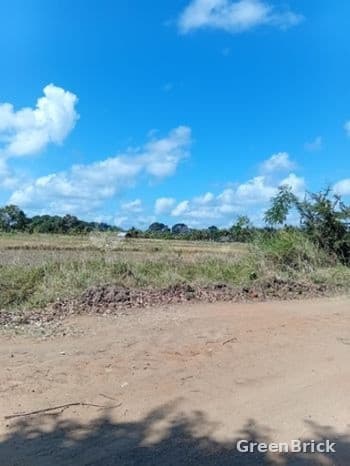 Land in Trincomalee - Iranaikkeni, Kuchchaveli, Trincomalee